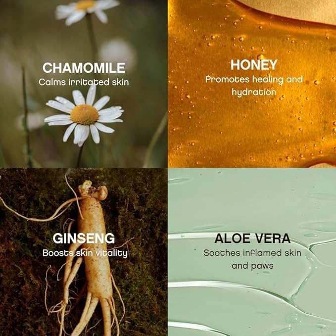 Floof Hypoallergenic Dog Wipes  Natural Aloe Grooming Wipes for Paws Face Ears Eyes & Bum  Vet-Formulated Extra Thick Safe for Puppies & Adult Dogs 864 Count