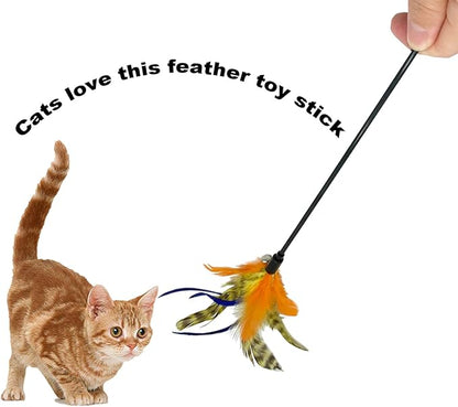Cat Wand Toy Feather Stick Cat Toys, 6 Pieces Interactive Cat Toy Feathers Wand for Indoor Cats (C)