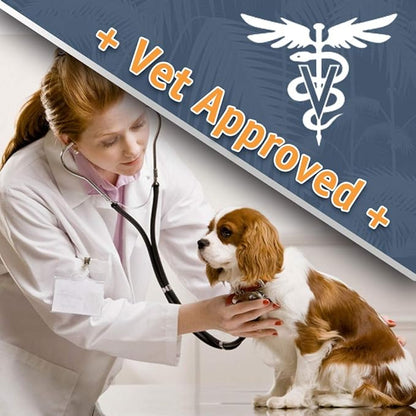 Jungle Pet Deodorizing Dog Shampoo for Smelly Dogs - Grooming & Cleansing Pet Shampoo for Dogs with Hypoallergenic Essential Fatty Acids - Soap, Sulfate & Paraben Free - Sweet Pea Vanilla Scent, 16 oz