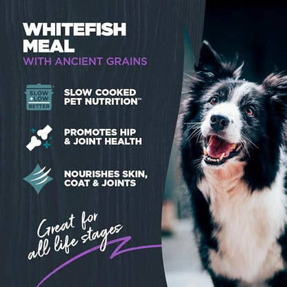 Blackwood Large Breed Dry Dog Food, Whitefish with Ancient Grains, 10 Pound Bag for Adult Dogs, Slow Cooked with Green Mussels to Promote Hip & Joint Health