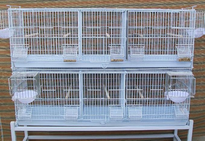 Extra Large 38"x11"x15"H Stackable Breeder Bird Flight Triple Cage Side Breeding Nest Box Door Double Removable Center Dividers with Removable Rolling Stand