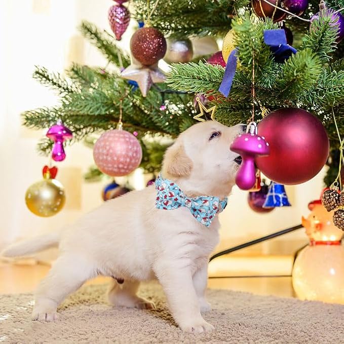 ARING PET Christmas Dog Collar-Cotton Blue Santa Claus Dog Collar with Bow, Adjustable Christmas Bowtie Dog Collars Pet Necklace with Metal Buckle for Girl&Boy Dogs