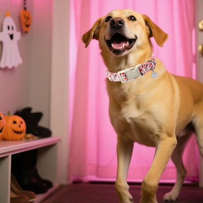 DOGWONG Halloween Dog Collar, Pink Halloween Dog Collar Adjustable Soft Cute Ghost Girl Pet Dog Collars Cute Puppy Necklace for Small Medium Large Dogs