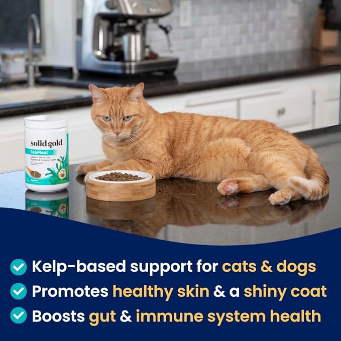 Solid Gold Cat & Dog Multivitamin Powder - Kelp Powder, Omega 3 & Vitamins for Dental, Digestive, Immune, Skin & Coat Health - Multi Vitamin for Dogs & Cats - Cat & Dog Food Additive Supplement - 1lb
