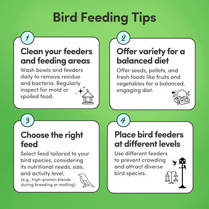 Mycelium Conure Feed (5 LB Bag) | Certified Organic, Non‑GMO Conure Food | Natural, Filler‑Free Bird Seed with Hulled Grains | Supports Brain, Heart & Digestive Health | Made in USA