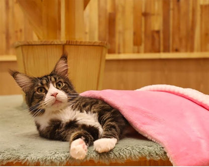 furrybaby Premium Fluffy Fleece Dog Blanket Soft and Warm Reversible Flannel Pet Blanket for Dogs 24x32inch Washable Indoor Cats Blankets for Cozy Comfy Nap(Pink)