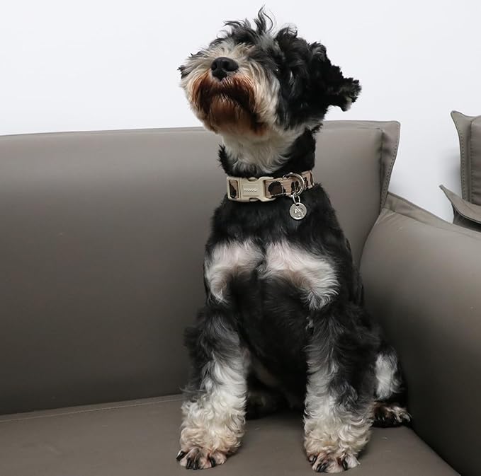 DOGWONG Cotton Dog Collar, Leopard Spring Summer Dog Collar Cute Wedding Puppy Necklace for Small Medium Large Dogs