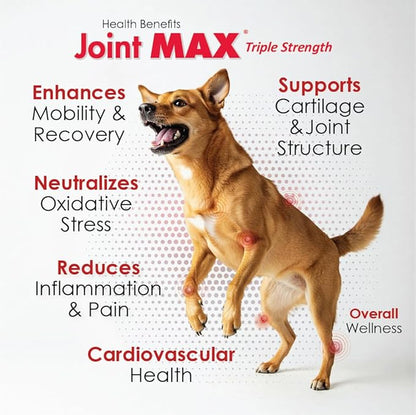 Pet Health Solutions Joint MAX Liquid for Dogs (32 fl oz)