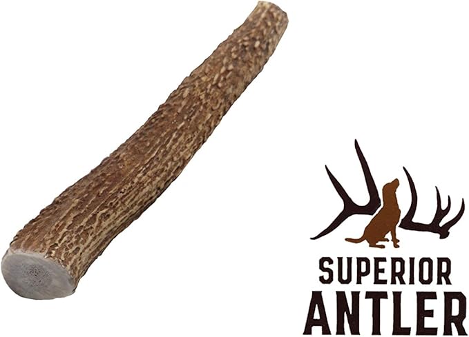 1-Medium Elk Antler _ingle Pack. All Natural Premium Grade A. Antler Chew. L=5-8 Naturally shed, Hand-Picked, and Made in The USA. NO Odor, NO Mess. Guaranteed Satisfaction. for Dogs 20-45 LBS