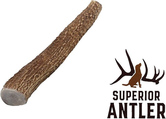 1-Medium Elk Antler _ingle Pack. All Natural Premium Grade A. Antler Chew. L=5-8 Naturally shed, Hand-Picked, and Made in The USA. NO Odor, NO Mess. Guaranteed Satisfaction. for Dogs 20-45 LBS