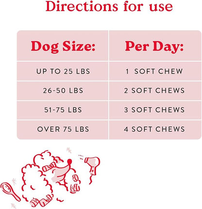 Bocce's Bakery Skin & Coat Supplement for Dogs, Daily Chews Made in The USA with Vitamin E & Essential Fatty Acids, Supports Healthy Skin & Coat, Salmon, 60 ct, Red (DG-SP-SKIN60)
