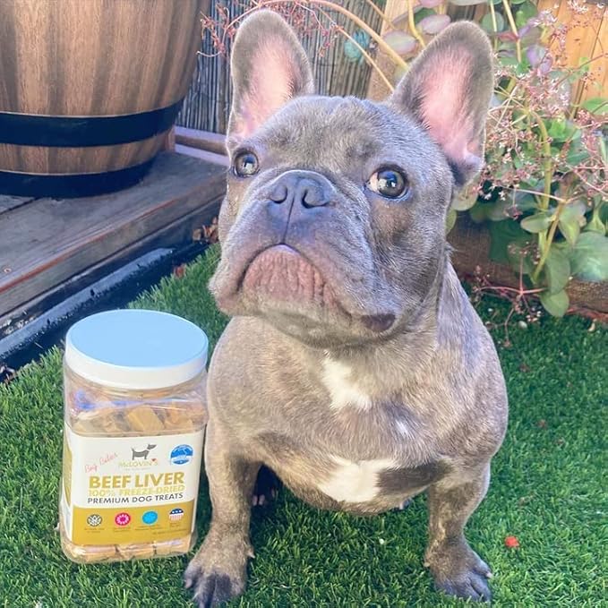 McLovin's Pet Freeze Dried Raw Beef Liver Dog Treats and Toppers, 12 oz. Canister - Single Ingredient, Grain-Free, Gluten-Free, High-Protein Treat  Healthy Dog Training Treats