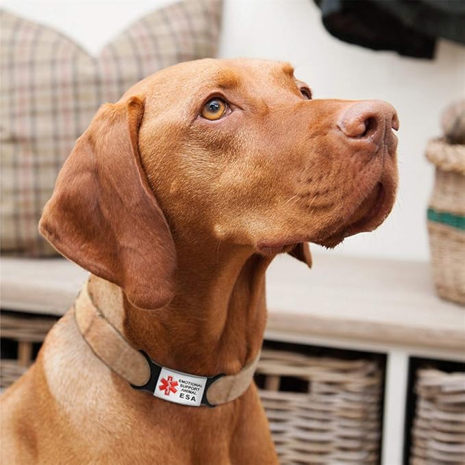 Dog Tag for Collar Necklace Stainless Steel Dog Cat Pet ID Tags Pendant ESA Emotional Support with Rubber Dog Accessories Black L