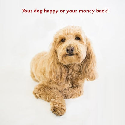 Majestic Pet 32 Inch Poly-Cotton Sherpa Calming Round Dog Bed - Washable, Soft, with Head Support - Fluffy Donut Design, Gray (32x23x7 Inch) - Medium