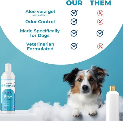 Replenish Aloe and Oatmeal Dog Shampoo -_ypoallergenic Pet Shampoo_or_llergies & Sensitive Skin, Medicated Dog Shampoo for Itching Relief &_atmeal Bath for Dogs Dry Flaky Skin Treatment  12 Oz