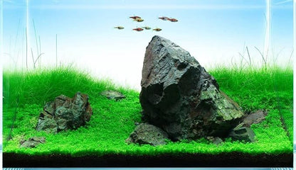 SubstrateSource Natural Stone for Aquarium, Terrarium, Paludarium, Reptile Enclosures - Set of Decorative Rocks for Landcapes, Aquascaping, Fish Tank Decor (Manten Stone, 20 Pounds, 2-8")