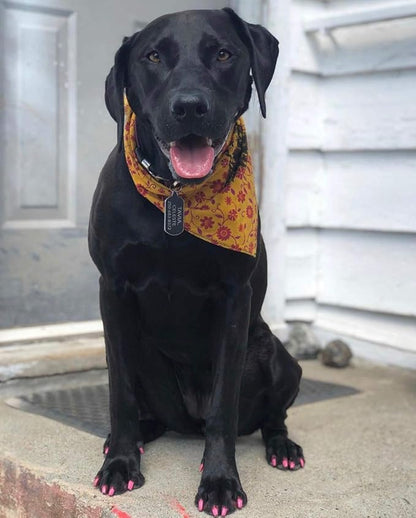 Warren London Pawdicure Dog Nail Polish Pens | Made in USA | Quick Dry, Low Odor, Non-Toxic Dog Accessories | Ideal for Dog Birthday, Dog Costume | 13 Colors | Neon Pink