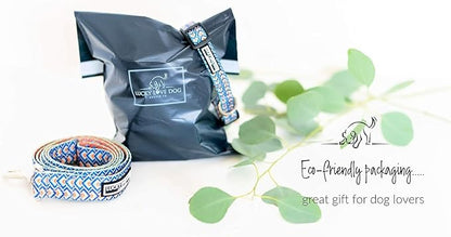 Lucky Love Dog Martingale Collar and Leash Set, Premium No Slip Collar for Male Dogs, Comfortable & Soft Martingale Dog Collars, Great for Whippets, Greyhounds, and More (Murphy, Medium - Combo)