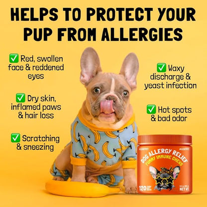 Allergy Relief Chews for Dogs & Immune & Digestive Supplement with Wild Salmon Oil Kelp Colostrum Turmeric Probiotics & Bee Pollen for Seasonal Allergies Anti Itch, Skin Hot Spots 120 Soft Treats