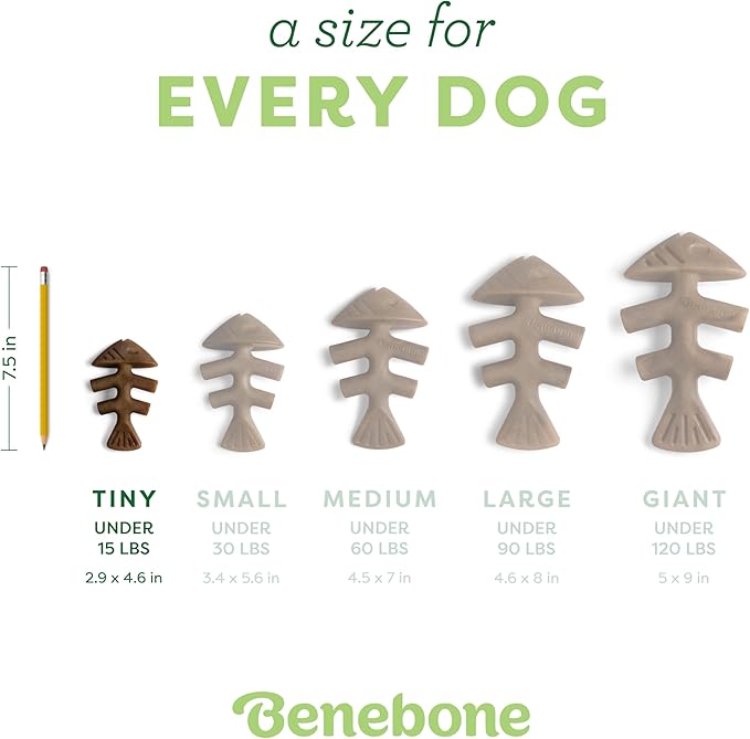 Benebone Tiny 2-Pack Fishbone Durable Dog Chew Toys, Real Fish Flavor, Made in USA