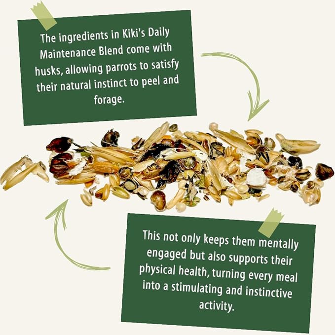 Premium Parrot Food| Protein-Rich Low-Fat Formula | Cockatiel, Conure, Lovebird, Quaker, Parrotlet | No Corn, Soy, Peanuts | Gourmet Whole Grains & Seeds | Daily Maintenance Blend (3 lbs)