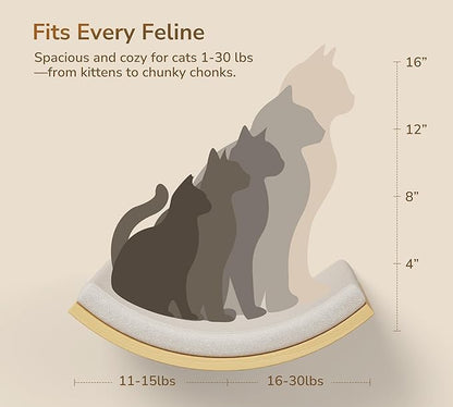 Cat Window Perches, Curved Cat Wall Beige Bed and 2 Floating Wall Steps, Wall Mounted Climbing Shelves for Sleeping, Playing, and Lounging