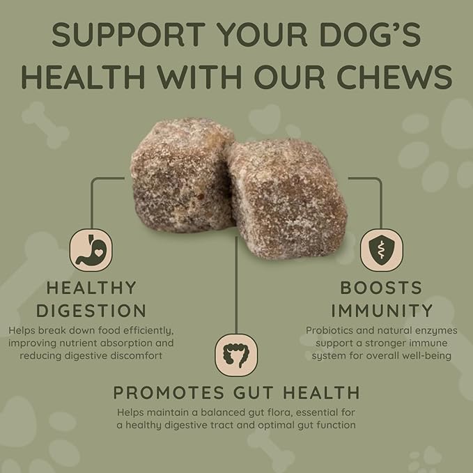Asher House Wellness Probiotics Digestive Chew for Dogs - Dog Probiotic, Digestive Enzymes for Gut Health & Digestion - Pet Chews for Diarrhea, Upset Stomach, Allergies, Itchy Skin Relief, 120 Chews