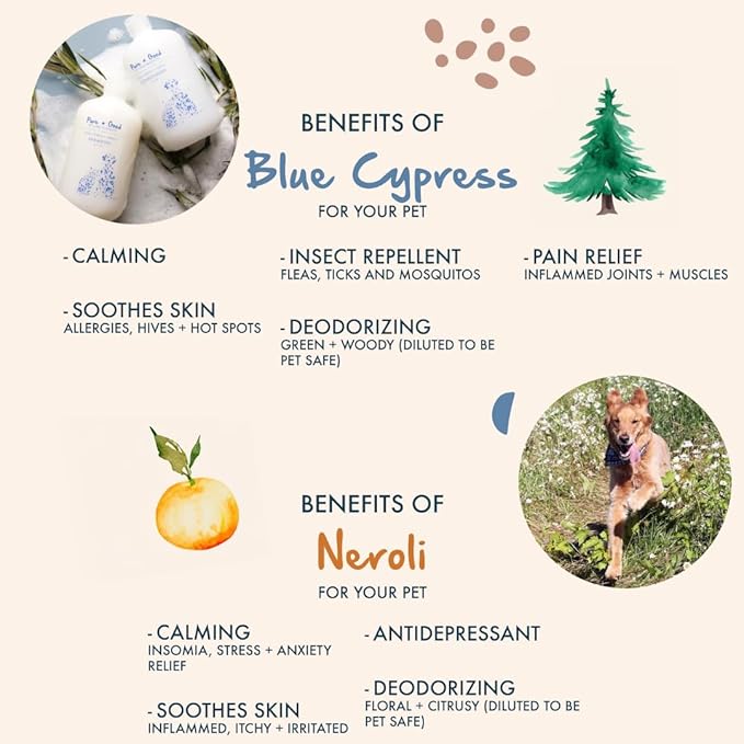 Blue Cypress + Neroli Shampoo and Conditioner Set, Calming Blue Cypress and Neroli Blossoms, Formulated for All Pets, Gentle and Cleansing, Made in The USA, Cruelty Free, 16 fl oz