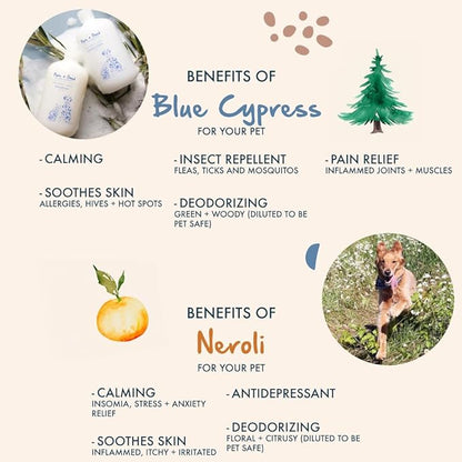 Blue Cypress + Neroli Shampoo and Conditioner Set, Calming Blue Cypress and Neroli Blossoms, Formulated for All Pets, Gentle and Cleansing, Made in The USA, Cruelty Free, 16 fl oz