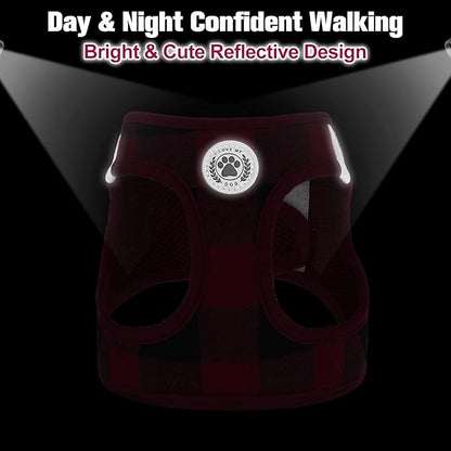 BEAUTYZOO Small Dog Harness and Leash Set,Step in No Chock No Pull Soft Mesh Dog Harnesses Reflective for Extra-Small/Small Medium Puppy Dogs and Cats, Plaid Dog Vest Harness for XS S Pets, Red S