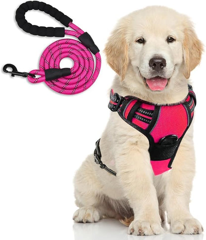 Dog Harness and Leash Duo, No Pull Vest Harness with 5 Ft Leash, Soft padded Vest, No-Choke Oxford Pet Harness, Easy Control Handle and Adjustable Pet Harness (Rose Red, Medium)