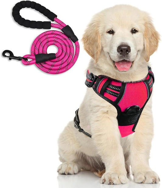 Dog Harness and Leash Duo, No Pull Vest Harness with 5 Ft Leash, Soft padded Vest, No-Choke Oxford Pet Harness, Easy Control Handle and Adjustable Pet Harness (Rose Red, Medium)