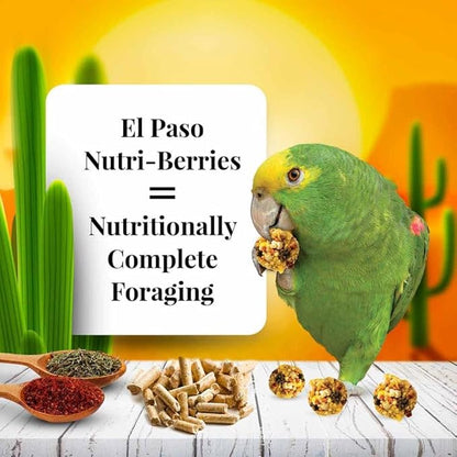 LAFEBER'S El Paso Nutri-Berries Pet Bird Food, Made with Non-GMO and Human-Grade Ingredients, for Parrots, 3 lb
