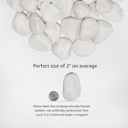 White Natural River Rocks, 1.5-2.5 Inch Decorative Stones for Plants, Garden, and Landscaping  20LB, Ideal for Fish Tanks, Vases, Crafting, Home Decor, and Outdoor Landscaping