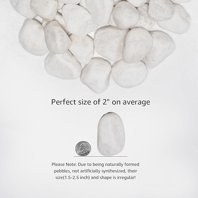 White Natural River Rocks, 1.5-2.5 Inch Decorative Stones for Plants, Garden, and Landscaping  10LB, Ideal for Fish Tanks, Vases, Crafting, Home Decor, and Outdoor Landscaping