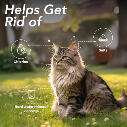 Best Shot UltraMAX Hypoallergenic Clarifying Shampoo, Versatile Pet Shampoo, Ideal Pet Grooming Supplies, Ready to Use, Sweet Pea Essence, 1.1 Gallon