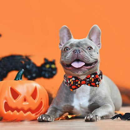 ARING PET Halloween Dog Collar-Cotton Black Pumpkin Dog Collar with Bow, Adjustable Fall Leaves Bowtie Dog Collars Pet Necklace with Metal Buckle for Girl&Boy Dogs