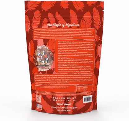 Mycelium Premium Small Hookbill Plus | High-Protein Bird Food for Lovebirds, Parrotlets, & Small Parrots | Organic Seed & Grain Mix with Eggs, Safflower, Millet, Pumpkin, & Oat Groats | 5 lb Bag