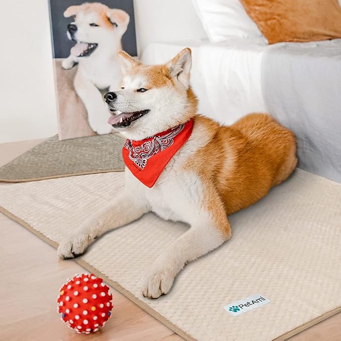 PetAmi Waterproof Dog Blanket, Leakproof Puppy Blanket for Small Medium Dog, Furniture Sofa Couch Cover Protector, Fleece Pet Throw Indoor Cat Kitten, Reversible Washable Soft Plush, 29x40 Taupe Beige