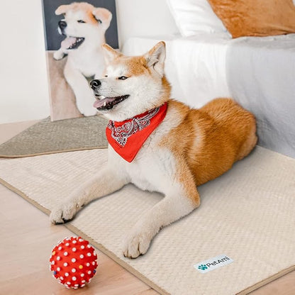 PetAmi Waterproof Dog Blanket, Leakproof Puppy Blanket for Small Medium Dog, Furniture Sofa Couch Cover Protector, Fleece Pet Throw Indoor Cat Kitten, Reversible Washable Soft Plush, 29x40 Taupe Beige