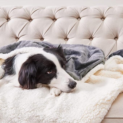 Qeils Dog Blankets for Large Dogs - Waterproof Dog Blanket Washable - Sherpa Fleece Puppy Blanket, Soft Plush Reversible Throw Protector for Bed Couch Car Sofa, 50"X60", Dark Grey