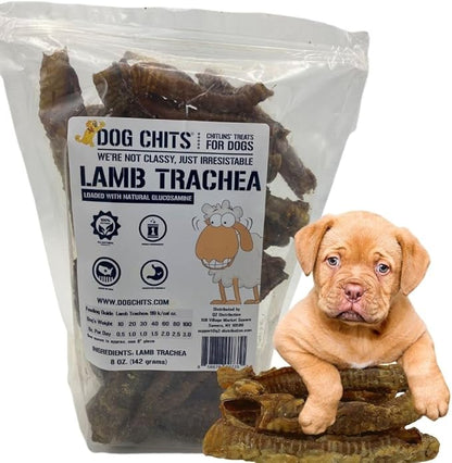 Dog Chits Lamb Trachea for Dogs - Dog and Puppy Chews | Amazing for Joints | Made in USA | Great for Pups Allergic to Beef | All-Natural Treats | Large and Small Dogs | 8 oz. Bag