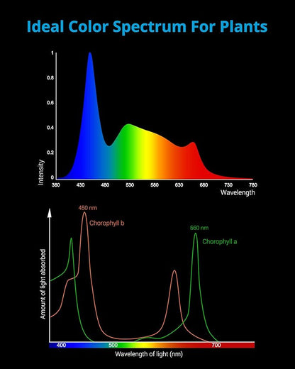 NICREW ClassicLED Plus LED Aquarium Light with Timer, 10 Watts, for 12 to 18 Inch Fish Tank Light, Daylight and Moonlight Cycle