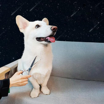 Dog Grooming Scissors,Pet Hair Scissors with Safety Round Tips Heavy Duty Titanium Stainless Steel Professional Dogs Cats Pets Grooming Shears