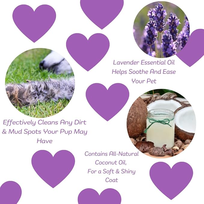 Natural Waterless Bath Spray, for Dogs, Calming Lavender, 8oz