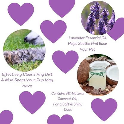 Natural Waterless Bath Spray, for Dogs, Calming Lavender, 8oz