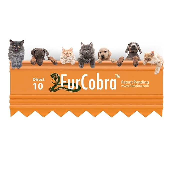 Direct 10 Pet Grooming Brush - Gentle, No Metal Blades, Soft Dog Brush, Cat Brush - Train Pets to be Brushed - Slicker Pet Brush, Puppy Brush, Kitten Brush, Cat Hair Brush, Dog Hair Brush