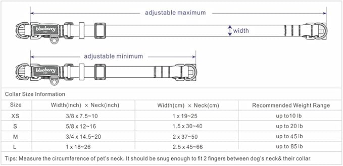 Blueberry Pet 3M Reflective Dog Collars | Adjustable Dog Collar w/Multi-Colored Stripe - Violet and River Blue | Nylon Pet Collars for Dogs & Refflective Dog Collar for Large Dogs