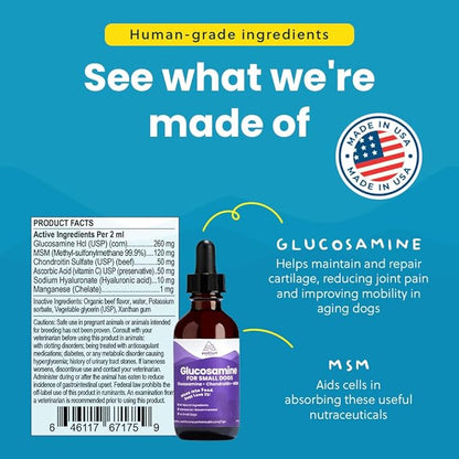 Paramount Pet Health Liquid Glucosamine for Small Dogs, 260mg Glucosamine Liquid for Dogs Joint Supplement for Mobility & Comfort, Easy-to-Use Liquid MSM & Chondroitin, 2 oz