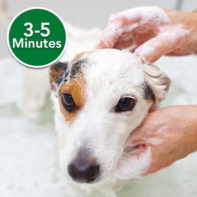 Vet's Best Medicated Oatmeal Shampoo for Dogs - Soothes Dog Dry Skin - Cleans, Moisturizes, and Conditions Skin and Coat - 16 Ounces